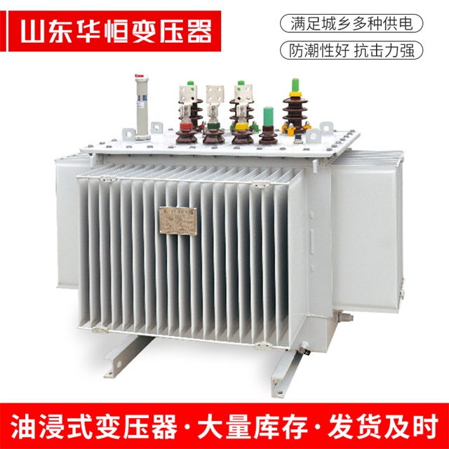 S13-10000/35肥西肥西肥西电力变压器